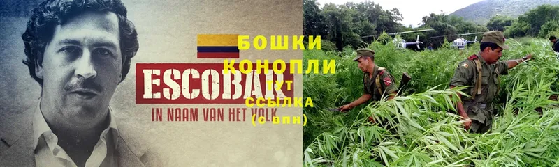 Продажа наркотиков Дмитров ГЕРОИН  МЕФ  ГАШИШ  Cocaine 