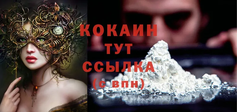 купить закладку  Дмитров  Cocaine Колумбийский 