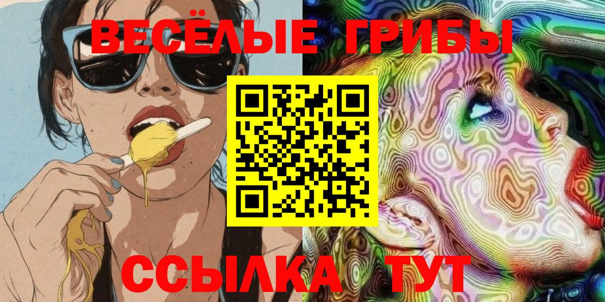 Псилоцибиновые грибы мицелий Дмитров