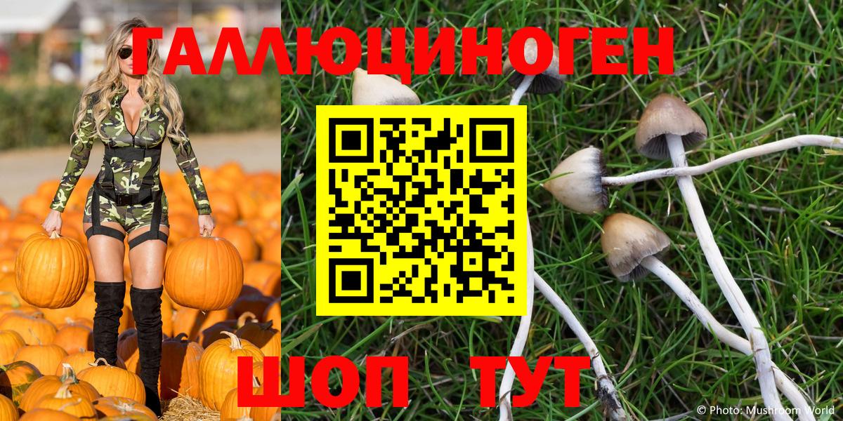 Галлюциногенные грибы Magic Shrooms  Дмитров 
