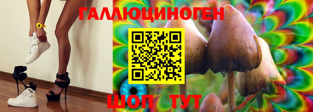 купить наркоту  Галлюциногенные грибы MAGIC MUSHROOMS  Вход с VPN  Дмитров  Псилоцибиновые грибы Psilocybine cubensis 
