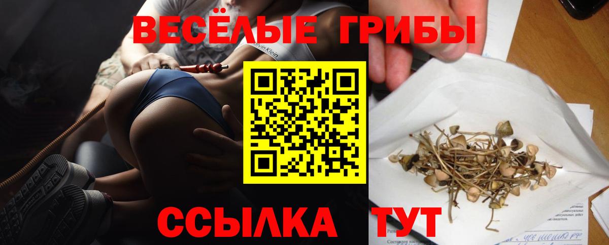 Галлюциногенные грибы MAGIC MUSHROOMS Дмитров