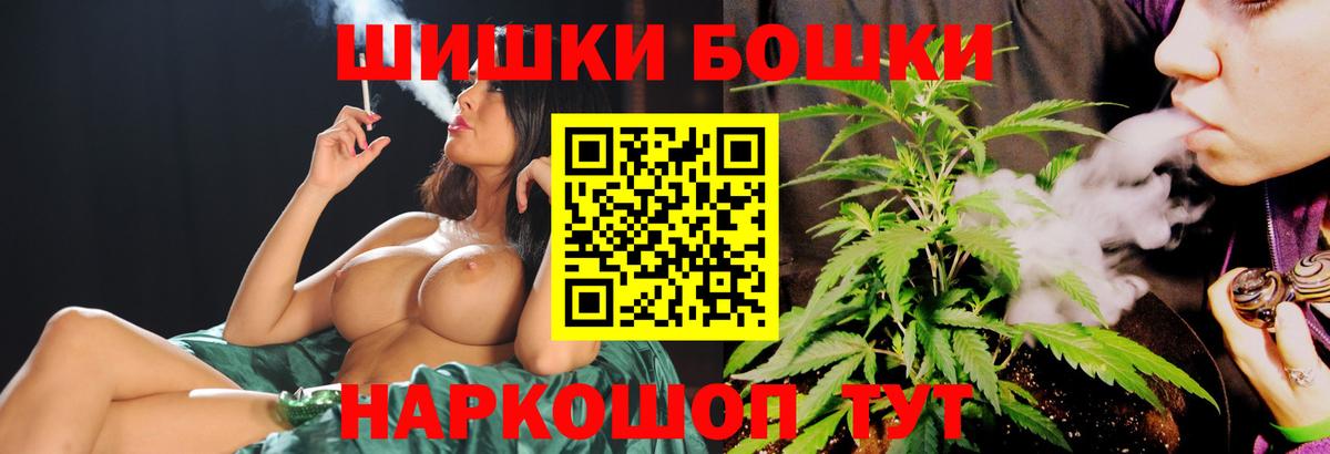 Конопля сатива Дмитров